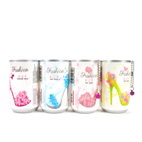 DRNT-0144 Shoe ASST Wet Wipes (12pcs)