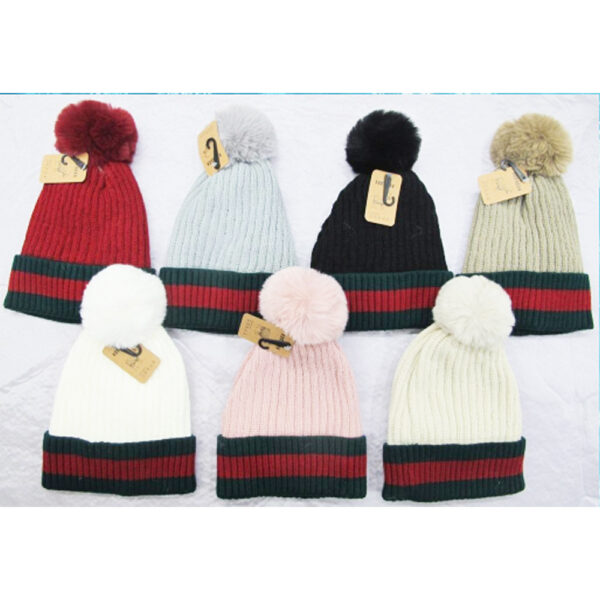 WH8527 ASST Winter Hat (3 pcs ) H