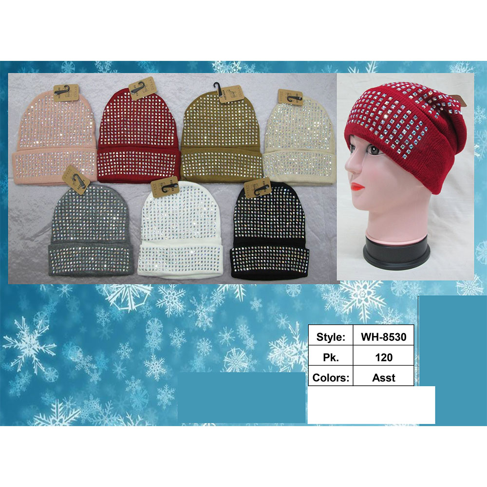 WH-8530 Winter Lining Bling Hat